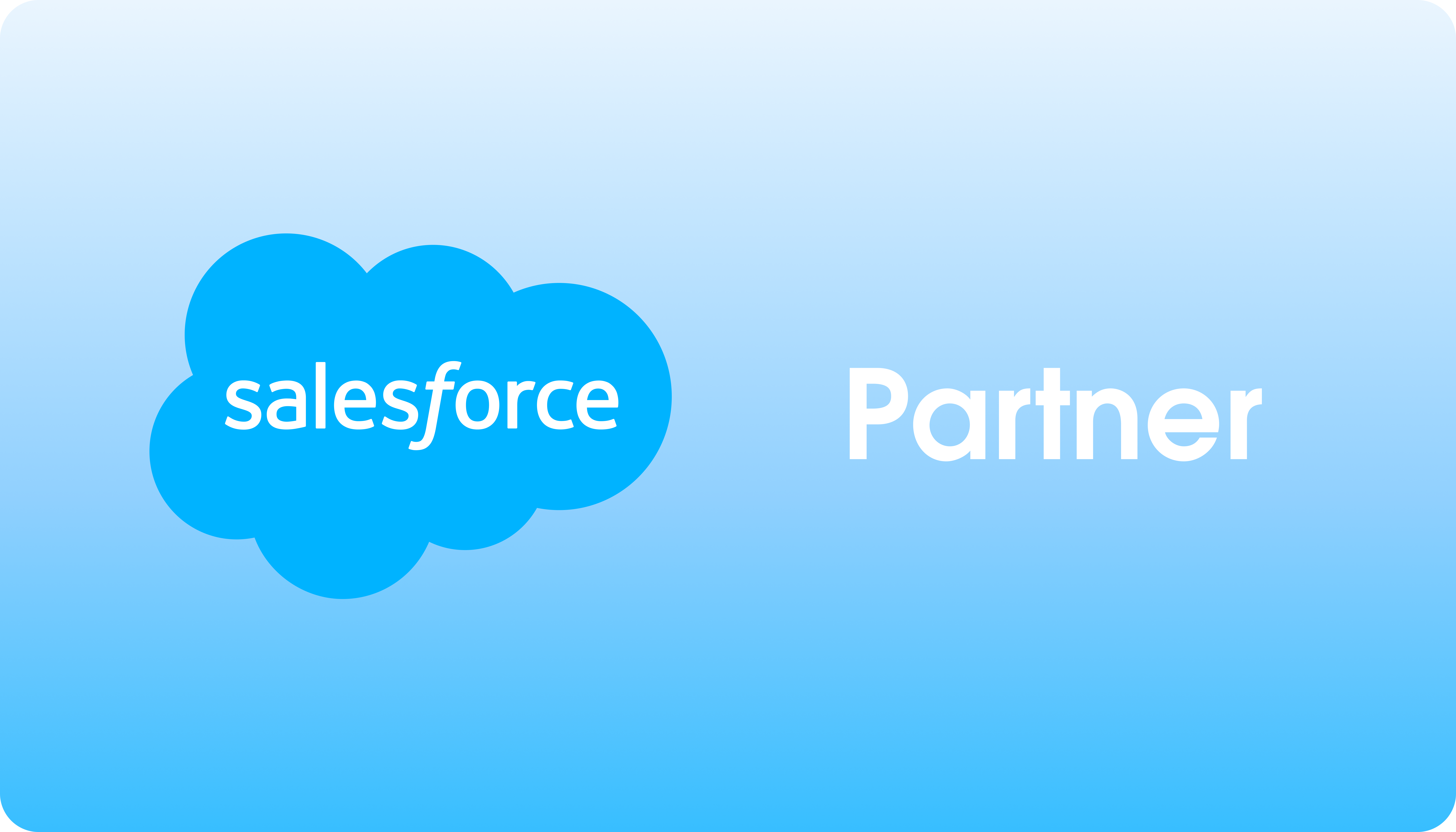 Salesforce Partner 